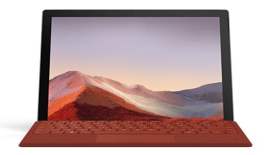 道真清洁和维护 Surface